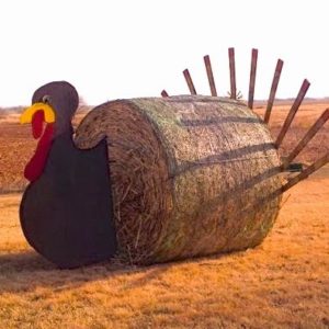 Thanksgiving Haybail Turkey