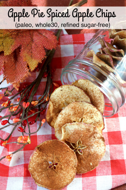 Apple Pie Spiced Apple Chips | Plaid and Paleo