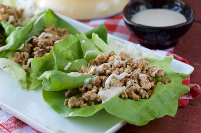 Paleo Spicy Chicken Lettuce Wraps | Plaid and Paleo