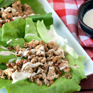 Paleo Spicy Chicken Lettuce Wraps | Plaid and Paleo