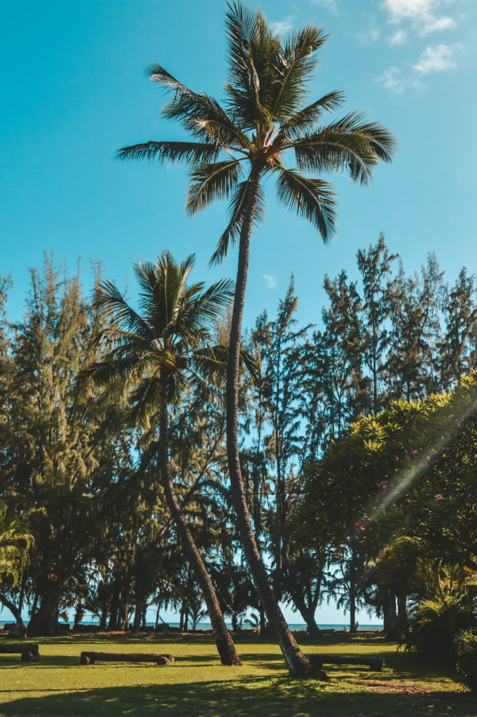 A Week in Kauai: Where to Stay in Kauai - Waimea Plantation Cottages | Plaid & Paleo